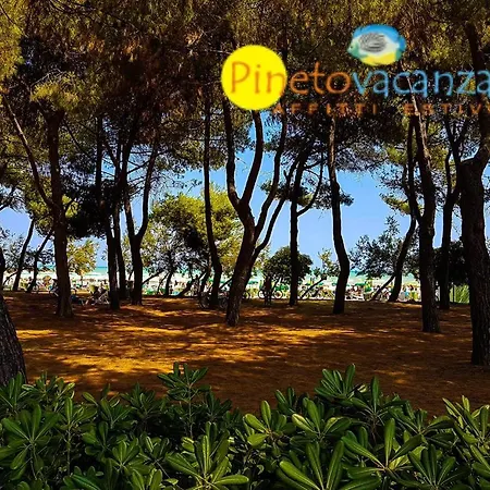 Appartement Ginevra 2 - Pineto